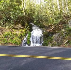 Meet your Posher, Earl